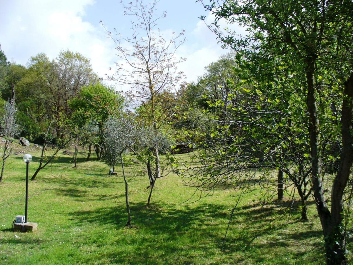 B&B Villa Selva Grande Capena Dış mekan fotoğraf