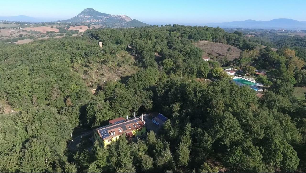 B&B Villa Selva Grande Capena Dış mekan fotoğraf